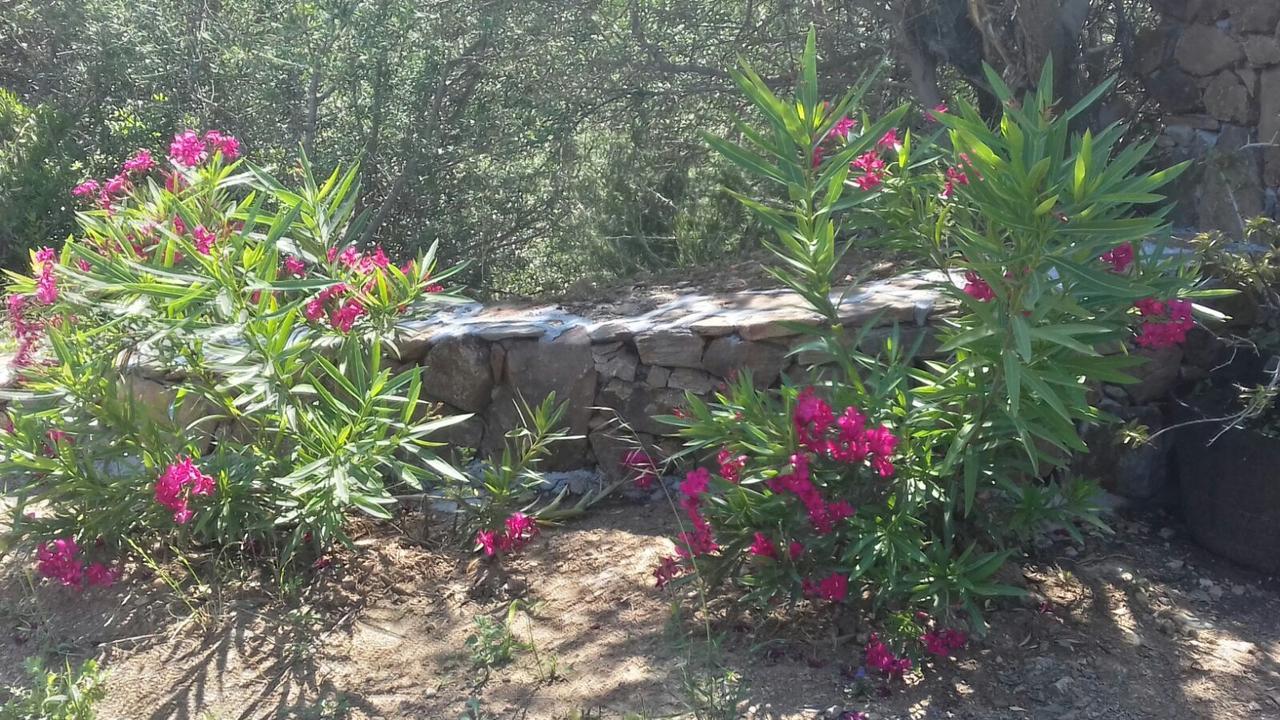 Azienda Agrituristica La Janna Di La Faj Bauernhof Budoni